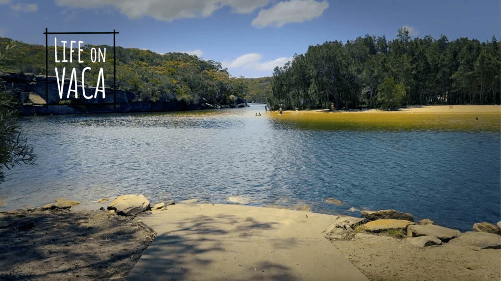 We Ubered to “The&nbsp;Bush”