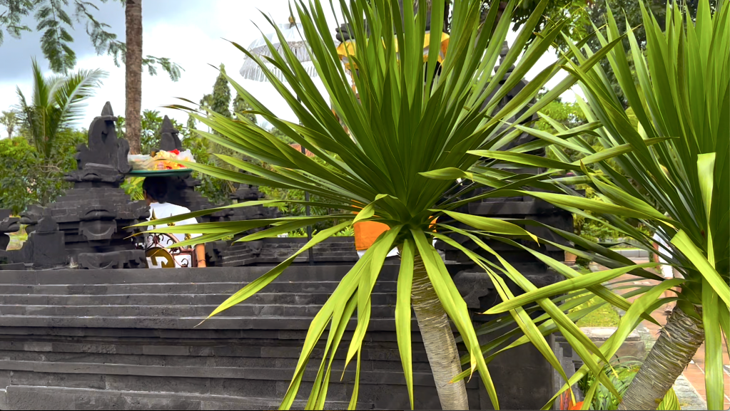 A Month in Bali&nbsp;Indonesia